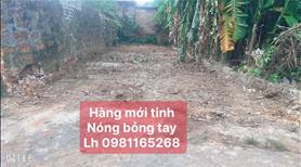 Giá rẻ tụt quần chỉ có hơn 900 tr dt 60 m fun thỏo cư tại vụ bản minh tri đường thông ô tô chạy - Ảnh 5
