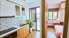 Cắt Lỗ - Cần bán căn hộ chung cư mini Bạch Mai - Phố Huế  25 -55m2 , Full nội thất -Ngõ Ô tô - Ảnh 6