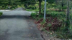 Bán đất Long thành đồng Nai,cách sân bay 10km giá rẻ  - Ảnh 3