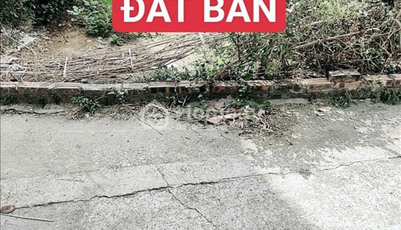BÁN 40M2 Hàng siêu hiếm không có lô thứ hai ở xã cổ loa đông anh hà nội - Ảnh 1
