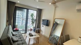 Bán 1N+1_48m2 thông thuỷ _ giá 3.180 tỷ Vinhomes Smart City - Ảnh 4