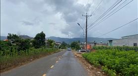 🏡 Bán đất nền vùng ven Đà Lạt - Diện Tích 500m² - SHR - Giá Chỉ 790 Triệu  - Ảnh 2