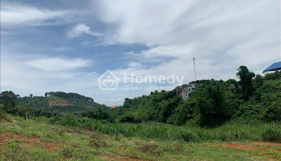 Chính chủ cần bán đất gần Đà lạt có sổ hồng riêng – công chứng ngay - Ảnh 1