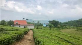 Bán đất nghỉ dưỡng 1ha tại Thanh Sơn, Phú Thọ - Ảnh 6