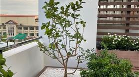 Bán nhà sát biển Mỹ Khê - Đà Nẵng, Vị Trí VIP sát góc ngã Tư Hồ Nghinh - Ảnh 9
