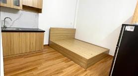 Ngõ VIP - Phố VIP - 10 phòng cho thuê - DT 50 triệu/th - 54m - 11.2 tỷ - Ảnh 4