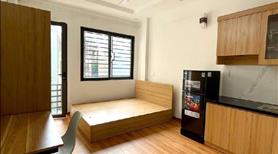 Ngõ VIP - Phố VIP - 10 phòng cho thuê - DT 50 triệu/th - 54m - 11.2 tỷ - Ảnh 2
