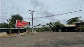 Bán lại lô đất vườn,ở xã Cây Trường,Huyện Bầu Bàng,tỉnh Bình Dương - Ảnh 2