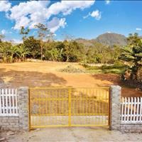 Bán 3.000m2 tại Vân Hoà, Ba Vì. Vị trí xây nghỉ dưỡng lý tưởng, view cánh đồng