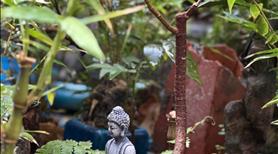 Chủ nhà thiện chí - Thâp hơn thị trường - Đầu Tư GAMUDA liền kề Góc - biệt thự song lập 30-4x tỷ - Ảnh 6