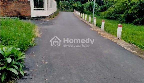 Chỉ 730 triệu/ lô có ngay lô đất đường nhựa. diên hoà - diên khánh - Ảnh 1