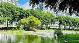 Celadon City - căn 2PN Diamond Alnata dt 88,8m2 giá 4,7 tỷ ntcb, tầng cao mát mẻ, LH: 0908567786  - Ảnh 8