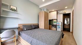 Cho thuê căn hộ cao cấp mới 100% - Có ban công - Cửa sổ to - Sát Đh hutech - Landmark 81 - Vinhome - Ảnh 9