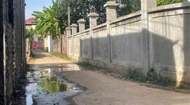 Hàng siêu hiếm 45m2 Tân Dân Sóc Sơn Đường ô tô vào nhà liên hệ ngay 0987785686 - Ảnh 2