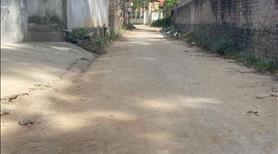 Hàng siêu hiếm 45m2 Tân Dân Sóc Sơn Đường ô tô vào nhà liên hệ ngay 0987785686 - Ảnh 3