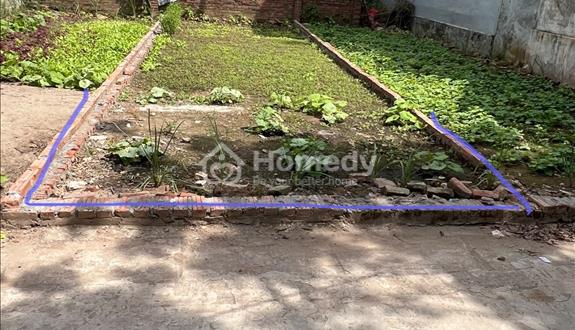 Chính chủ tha thiết bán ô đấy đẹp như tiên nữ mong các ace đến coi  - Ảnh 1