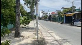 Bán lô đất mặt tiền đường 25 Tân Thông Hội Củ Chi 300m2 full thổ cư chủ ngộp - Ảnh 11