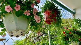 Bán nhà mới keng 1 trệt 1lâù 1/30m nguyễn thị thảnh , thới tam thôn , hóc môn - Ảnh 6