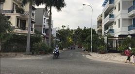 Đất nền dự án Khu Dân Cư Phú Lợi, giá 1.95TỶ, sổ sẵn, mặt tiền đường Phạm Thế Hiển, quận 8 - Ảnh 3