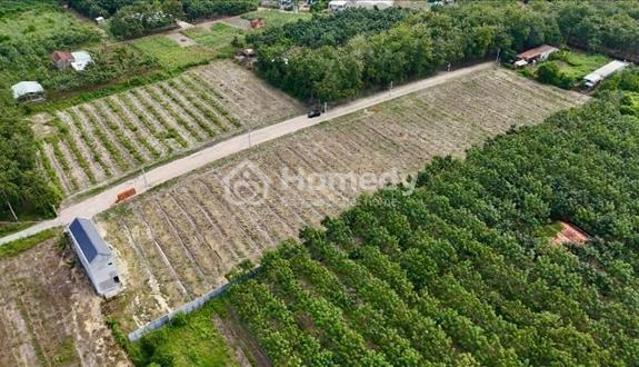 Bán đất nền xã An Bình , huyện Phú Giáo , tỉnh Bình Dương - Ảnh 1