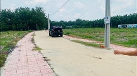 Bán đất nền xã An Bình , huyện Phú Giáo , tỉnh Bình Dương - Ảnh 4