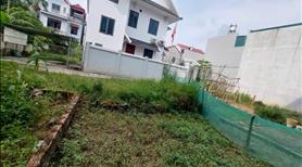 Bán Đất Cổ Dương,Đông Anh Hà Nội. - Ảnh 3