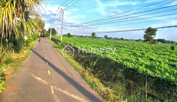 Bán đất xã Láng Dài,huyện Đất Đỏ,tỉnh Bà Rịa-Vũng Tàu - Ảnh 1