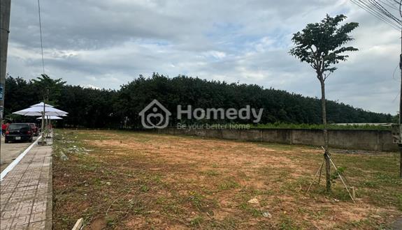 Đất Sổ Sẵn - Chỉ cần 400tr đã sỡ hữu lô góc Ngay Sân Bay Quốc Tế Long Thành  - Ảnh 1