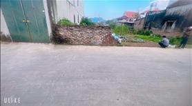Giá đầu tư tại quảng hội quang tiến sóc sơn hà nội dt 56,2 m đường thông rộng 6 m - Ảnh 3