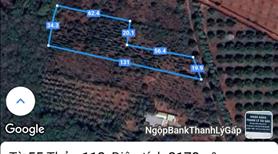 Đất ngộp mặt đường ql56B Bàu Chinh 3178m2 , 4.3 ti  - Ảnh 8
