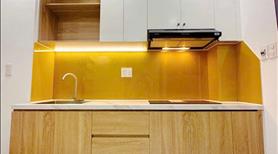 Bán nhà ngộp Đ.Phạm Ngọc Thảo Tân Phú DT 40m2 1T1L 2pn 2wc giá 2tỷ280 sổ riêng, hẻm ô tô rộng - Ảnh 2