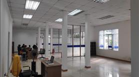 Cho Thuê Nhà Xưởng và Văn Phòng Diện Tích 2.245M2 Đường Phan Huy Ích Gần KCN Tân Bình - Ảnh 3