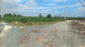 Bán đất nền đất sào giá rẻ tại trung tâm lagi bình thuận - Ảnh 2