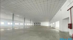 Cho Thuê Nhà Xưởng và Văn Phòng Diện Tích 2.245M2 Đường Phan Huy Ích Gần KCN Tân Bình - Ảnh 7