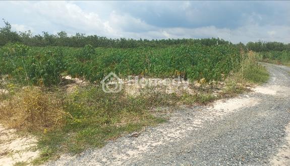 Bán đất nền đất sào giá rẻ tại trung tâm lagi bình thuận - Ảnh 1