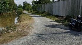 bán 1127 m2- giá trị hơn 5 tỷ - đầu tư dài hạn - xuân thới thượng - hóc môn - gọi cho em xem đất - Ảnh 3