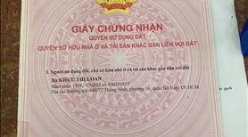 Định cư cần bán gấp nhà Lê Đức Thọ  P16  5x20m 2 lầu ST 8.7 tỷ - Ảnh 10