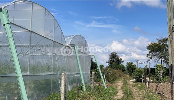  200tr có 1 sào đất đẹp Gia Lai huyện Chư Pãh (27x58) - Ảnh 1