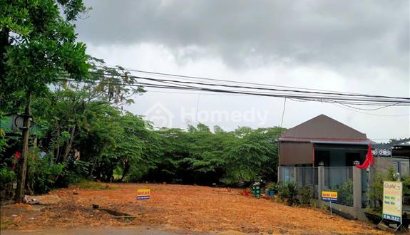BÁN ĐẤT mặt tiền đường Nguyễn Thị Lý, Thị xã Quảng Trị, Quảng Trị - Ảnh 1