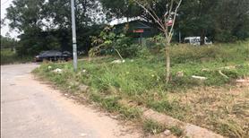 Đất nền dự án cenco5 khu trường đại học kinh tế quốc dân  - Ảnh 8