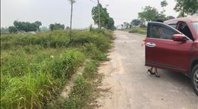 Đất nền dự án cenco5 khu trường đại học kinh tế quốc dân  - Ảnh 6