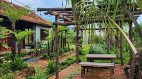 Nghĩ dưỡng kết hợp đầu tư  Hơn 1000m2 Thị Xã Chơn Thành  Cách Quốc Lộ 14 500m 345triệu bao sang tên - Ảnh 6