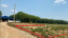 Chính chủ cần bán 1000m2 ngay cầu Nha Bích ở tx Chơn Thành, ngay KCN kế bên tp Đồng Xoài giá 195tr - Ảnh 4