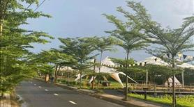 đất nền cận sân bay Biên Hoà phát triển mạnh trên đà phát triển cai - Ảnh 6