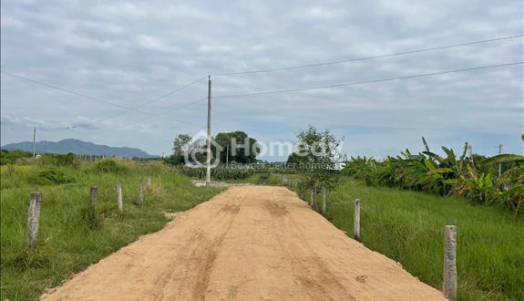 Cần Bán 4.4 Sào Đất Tân Tiến, LaGi – Sổ Hồng Riêng, Giá Tốt - Ảnh 1