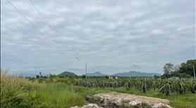 Cần Bán 4.4 Sào Đất Tân Tiến, LaGi – Sổ Hồng Riêng, Giá Tốt - Ảnh 8