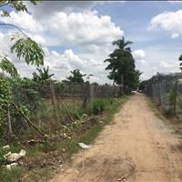 Chính chủ cần bán 5000m2 đất cao tầng Tân Hiệp, Hocmon