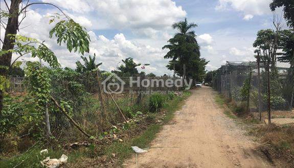 Chính chủ cần bán 5000m2 đất cao tầng Tân Hiệp, Hocmon - Ảnh 1