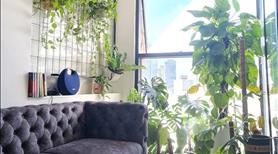 Căn Hộ Studio Cực Đẹp Cần Chuyển Nhượng Giá Tốt – The Sun Avenue Studio - Ảnh 6