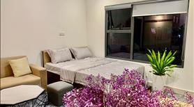 Cơ hội VÀNG sở hữu căn hộ cao cấp phân khu The ZENPARK giá cực kì TỐT - Ảnh 3
